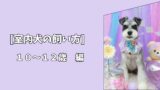 【室内犬の飼い方】シニア期を快適に過ごすための工夫｜10〜12歳編