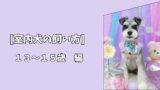 【室内犬の飼い方】超高齢期を穏やかに支える暮らし｜13〜15歳編