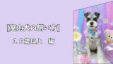 【室内犬の飼い方】最期まで穏やかに寄り添うために｜16歳以上編