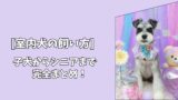 【室内犬の飼い方】年齢別でわかる一生ガイド｜子犬からシニアまで完全まとめ！