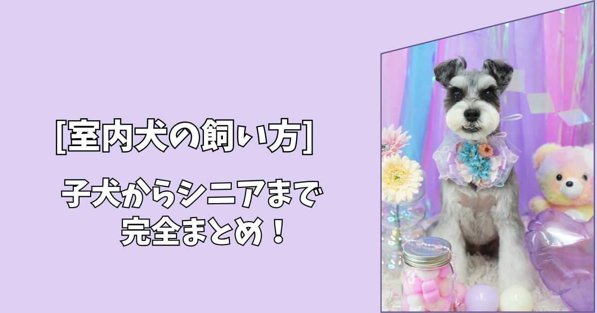 【室内犬の飼い方】年齢別でわかる一生ガイド｜子犬からシニアまで完全まとめ！