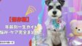 【保存版】室内犬の飼い方｜年齢別一生ガイド：子犬からシニアまで成長に合わせた悩み・ケア完全まとめ！