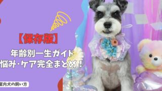 【保存版】室内犬の飼い方｜年齢別一生ガイド：子犬からシニアまで成長に合わせた悩み・ケア完全まとめ！