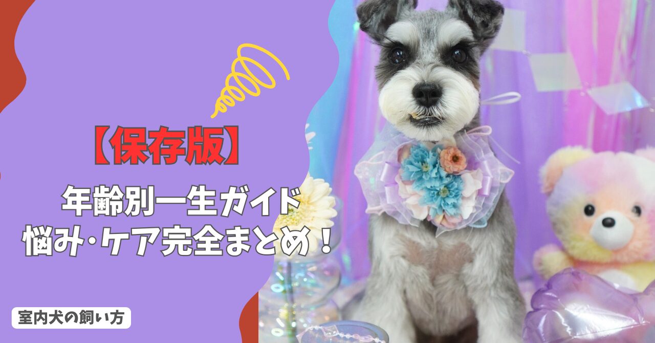 【保存版】室内犬の飼い方｜年齢別一生ガイド：子犬からシニアまで成長に合わせた悩み・ケア完全まとめ！