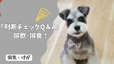 犬が誤飲・誤食したとき、様子見していい？すぐ病院に行くべき？【判断チェックQ＆A】
