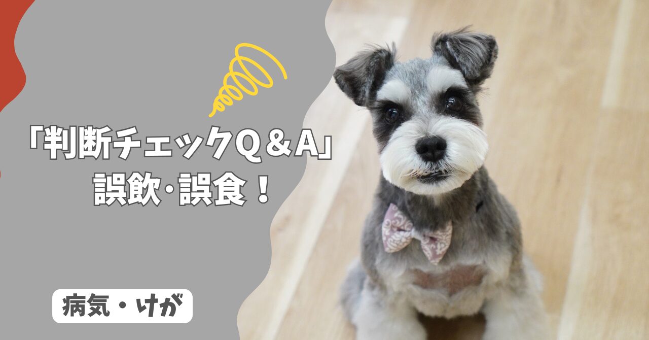 犬が誤飲・誤食したとき、様子見していい？すぐ病院に行くべき？【判断チェックQ＆A】
