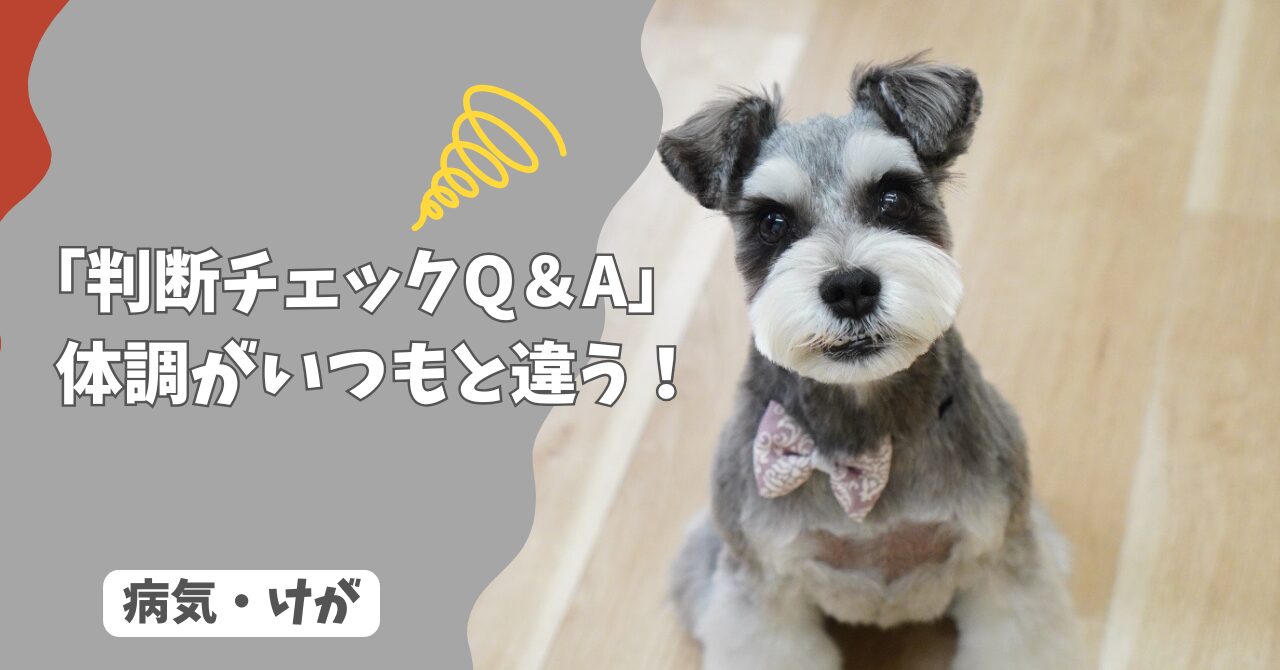 犬の体調がいつもと違う…様子見していい？すぐ病院に行くべき？【判断チェックQ＆A】