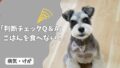 犬がごはんを食べない…様子見していい？病院に行くべき？【判断チェックQ＆A】