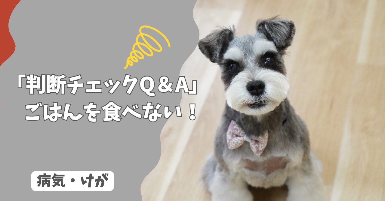 犬がごはんを食べない…様子見していい？病院に行くべき？【判断チェックQ＆A】