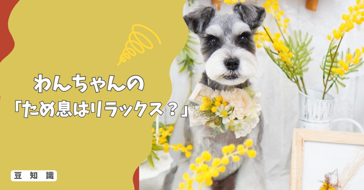 犬の「ため息」はリラックス？それともストレス？音とタイミングで見抜く本当の気持ち！