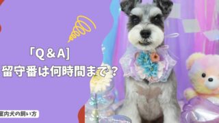 室内犬の「留守番」は何時間まで？不安・いたずらを防ぐ準備と工夫！【Q＆A】