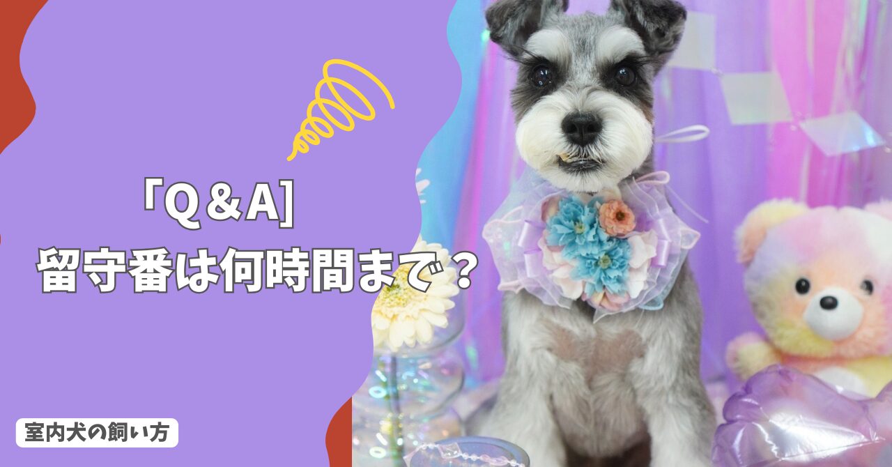 室内犬の「留守番」は何時間まで？不安・いたずらを防ぐ準備と工夫！【Q＆A】