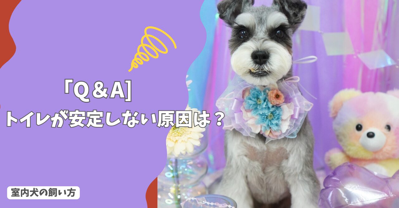 室内犬の「トイレが安定しない」原因は？失敗を減らす正しい対処法！【Q＆A】