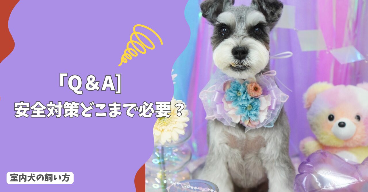 室内犬の「安全対策」どこまで必要？家の中の危険と守り方！【Q＆A】