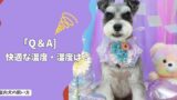 室内犬の「快適な温度・湿度」は？季節ごとの正解と失敗しない管理法！【Q＆A】