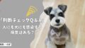 人にも犬にも感染する病気はある？一緒に暮らすために知っておきたい人獣共通感染症【判断チェックQ＆A】