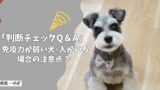 免疫力が弱い犬・人がいる場合の注意点｜感染症リスクと暮らし方の工夫【判断チェックQ＆A】