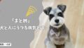 【まとめ】犬と人にうつる病気とは？家族構成別にわかる感染症リスクと対策ガイド！