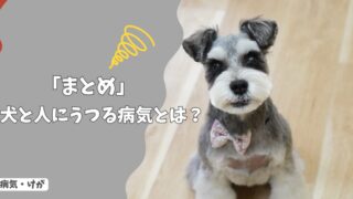 【まとめ】犬と人にうつる病気とは？家族構成別にわかる感染症リスクと対策ガイド！