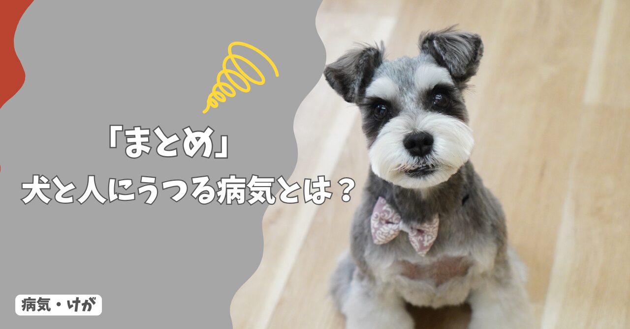 【まとめ】犬と人にうつる病気とは？家族構成別にわかる感染症リスクと対策ガイド！