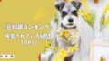 【犬の豆知識ランキング】飼い主が本当に知りたい！　検索されている疑問TOP10！