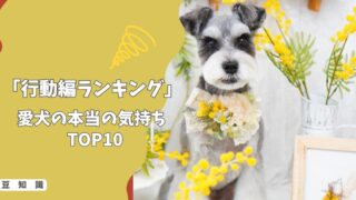 【行動編ランキング】愛犬のしぐさでわかる！本当の気持ちTOP10！
