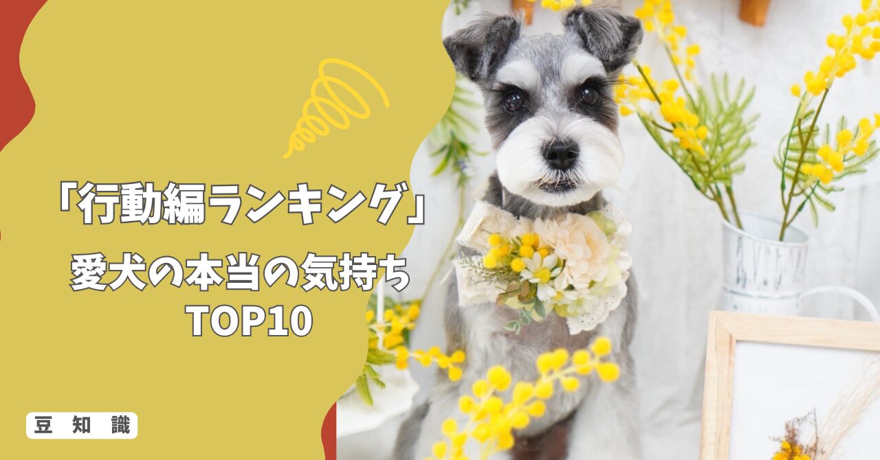 【行動編ランキング】愛犬のしぐさでわかる！本当の気持ちTOP10！