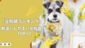 【犬の豆知識ランキング】初心者が勘違いしやすい！犬の豆知識TOP10！
