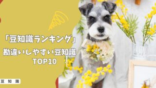 【犬の豆知識ランキング】初心者が勘違いしやすい！犬の豆知識TOP10！
