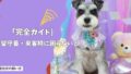留守番・来客時に困らない！愛犬が落ち着いて過ごせるしつけトレーニング完全ガイド！