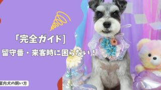 留守番・来客時に困らない！愛犬が落ち着いて過ごせるしつけトレーニング完全ガイド！