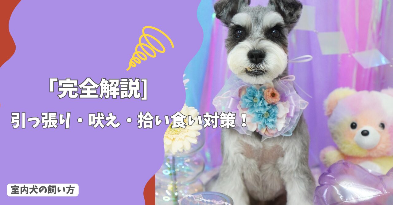 犬の散歩で困らないためのしつけトレーニング7選｜引っ張り・吠え・拾い食い対策を完全解説！