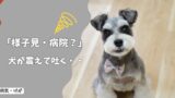 犬が震えて吐く…様子見で大丈夫？病院に行くべき？