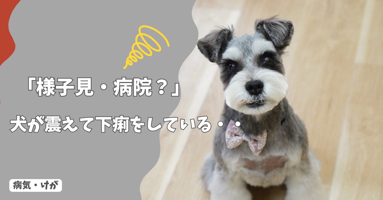 犬が震えて下痢をしている…様子見で大丈夫？