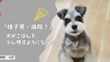 犬がごはんを少し残すようになった…様子見でいい？受診の判断基準！