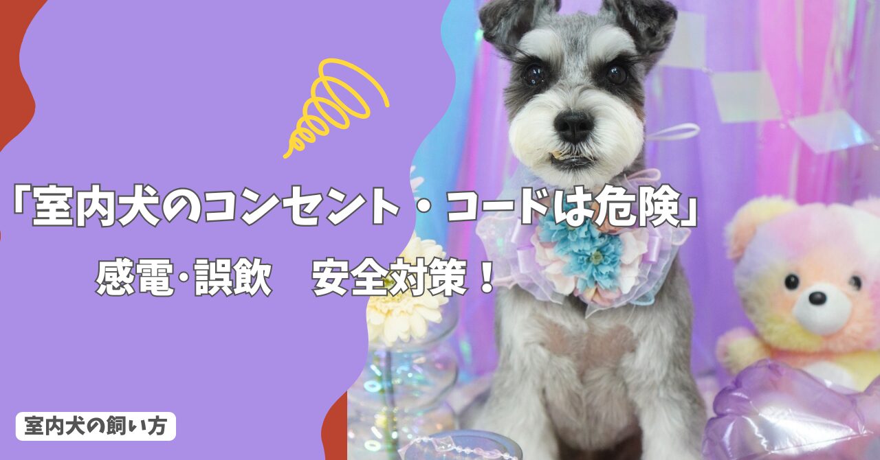 室内犬のコンセント・コードは危険？感電・誤飲を防ぐ安全対策ガイド！