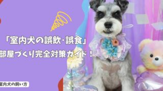 室内犬の誤飲・誤食を防ぐ部屋づくり｜今日からできる安全対策ガイド!