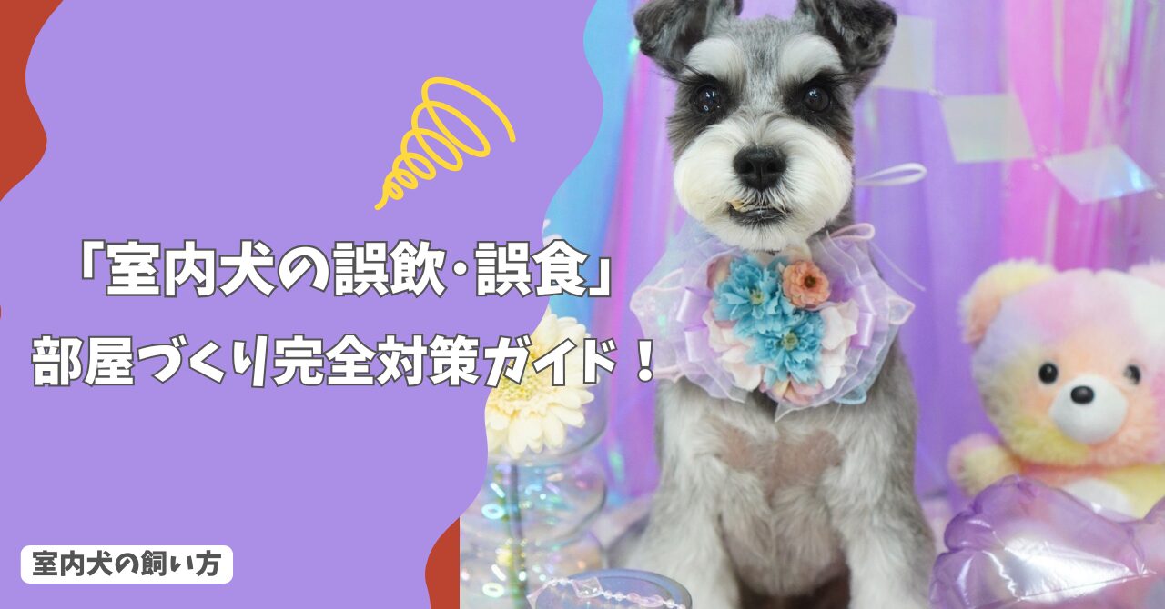 室内犬の誤飲・誤食を防ぐ部屋づくり｜今日からできる安全対策ガイド!