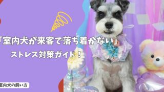 室内犬が来客で落ち着かない…吠える・震えるときのストレス対策ガイド！
