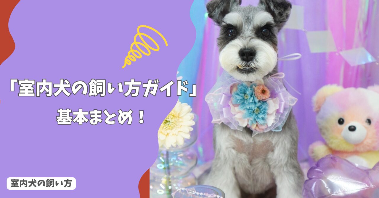 室内犬の飼い方ガイド｜室内環境・留守番・しつけの基本まとめ！