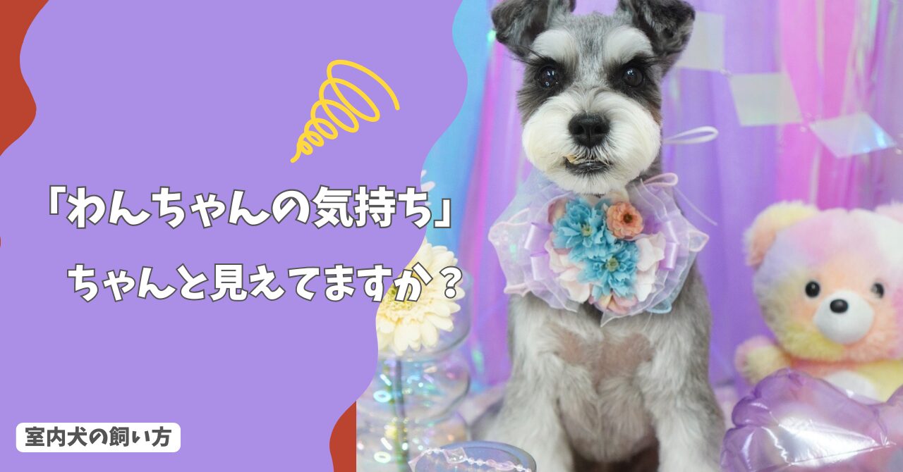 犬の気持ち、ちゃんと見えていますか？