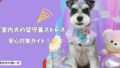 「室内犬の留守番ストレスを減らす環境づくり」不安を和らげる安心対策ガイド！