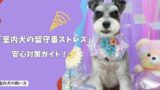 「室内犬の留守番ストレスを減らす環境づくり」不安を和らげる安心対策ガイド！