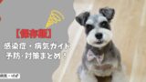 【保存版】犬の感染症・病気ガイド｜症状別チェックリストと予防・対策まとめ！
