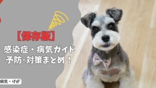 【保存版】犬の感染症・病気ガイド｜症状別チェックリストと予防・対策まとめ！