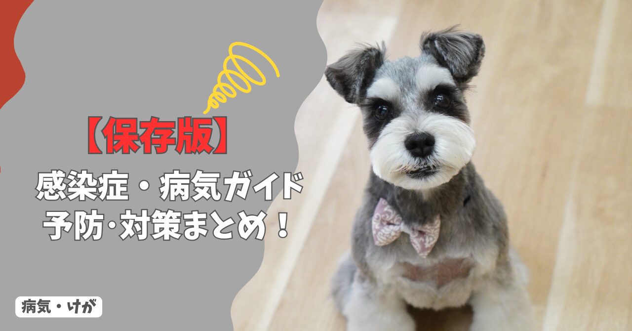【保存版】犬の感染症・病気ガイド｜症状別チェックリストと予防・対策まとめ！