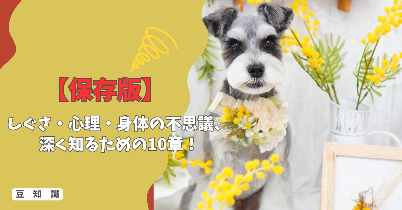 【保存版】豆知識まとめ｜しぐさ・心理・身体の不思議まで、愛犬をもっと深く知るための10章！