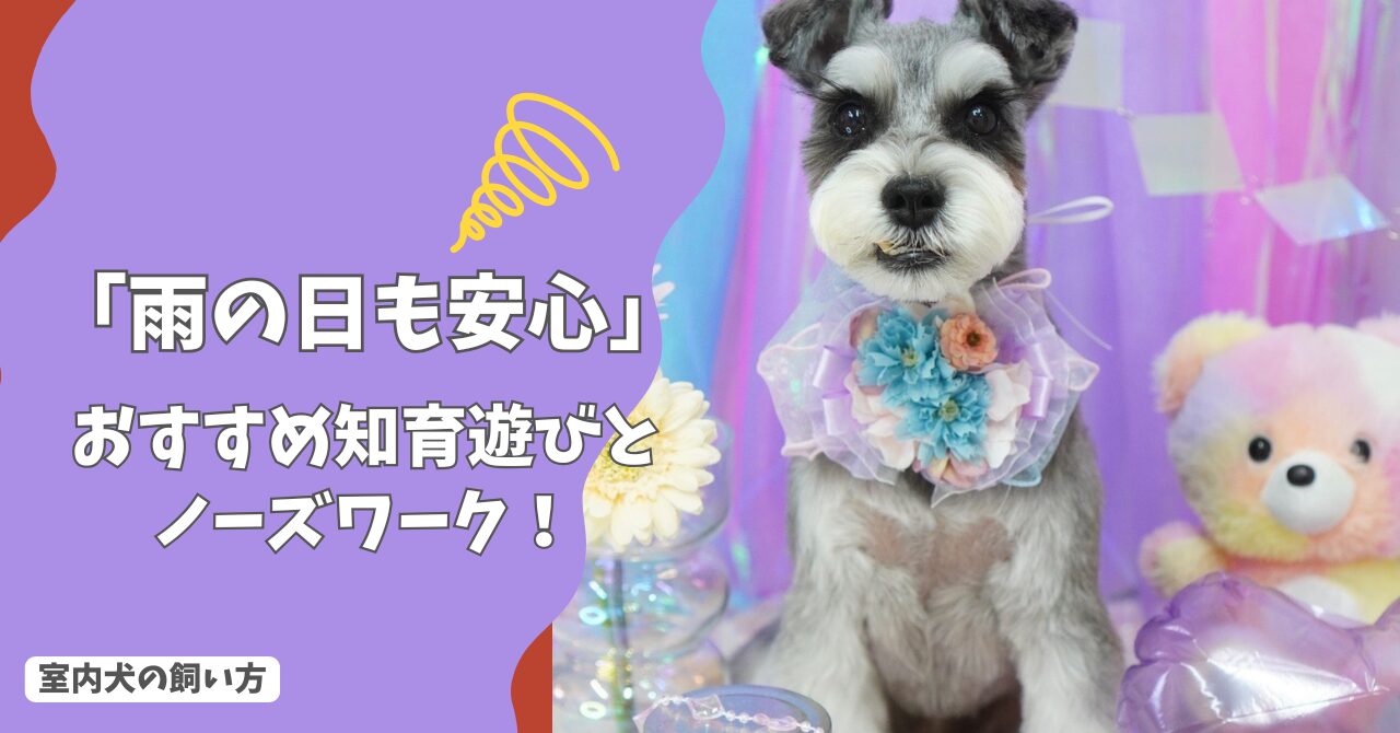 「雨の日も安心！」室内犬のストレスを解消する、おすすめの知育遊びとノーズワークの始め方！