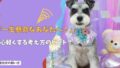 「一生懸命なあなたへ」犬を飼うのがつらいと感じたとき…心軽くなる考え方のヒント！