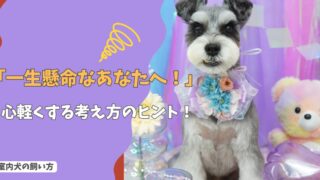 「一生懸命なあなたへ」犬を飼うのがつらいと感じたとき…心軽くなる考え方のヒント！